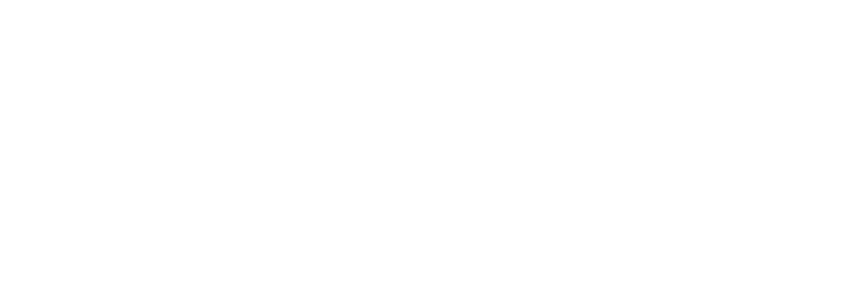 Lira Edu Logo